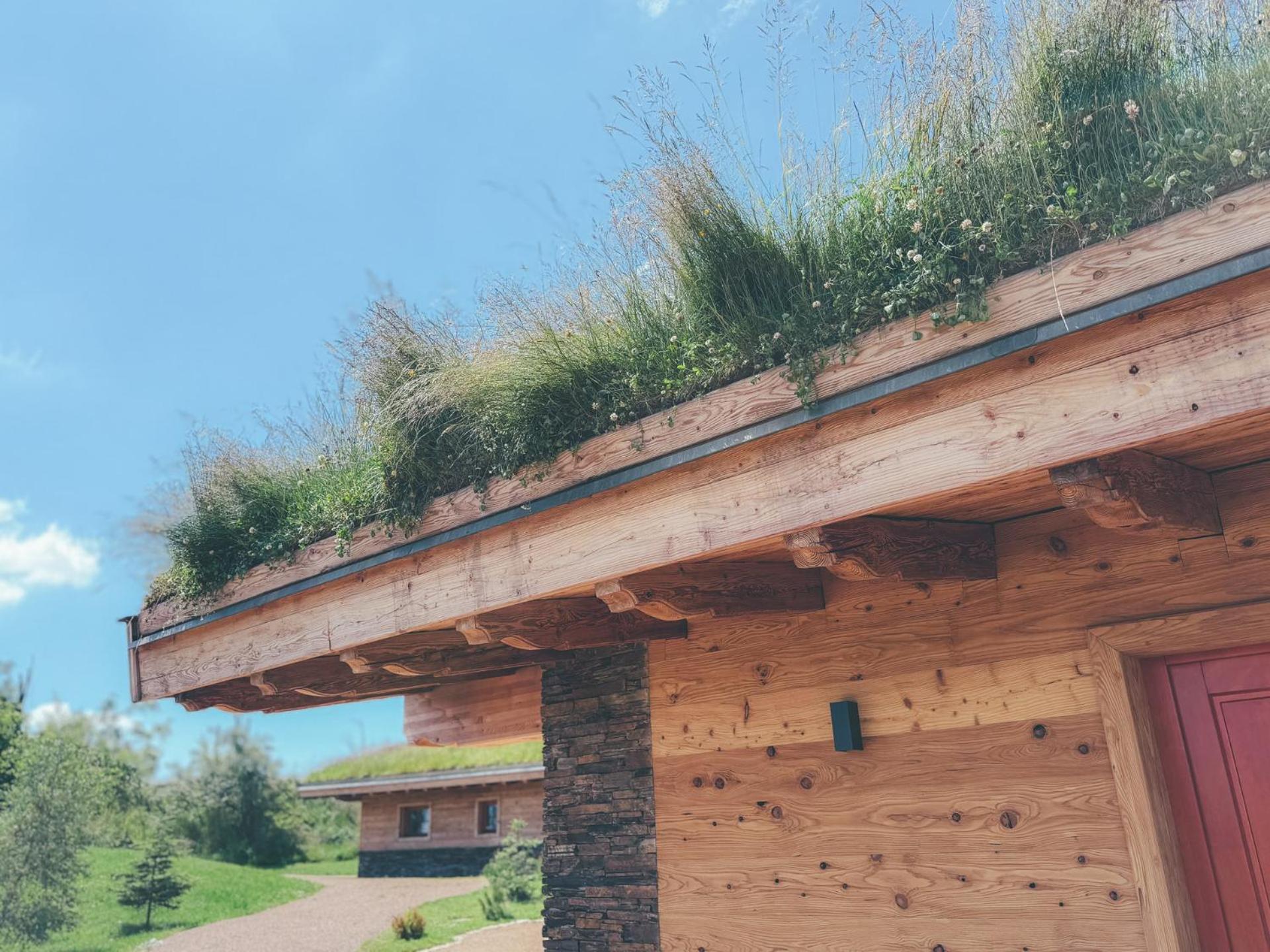Chalets Resort Cínovec Εξωτερικό φωτογραφία