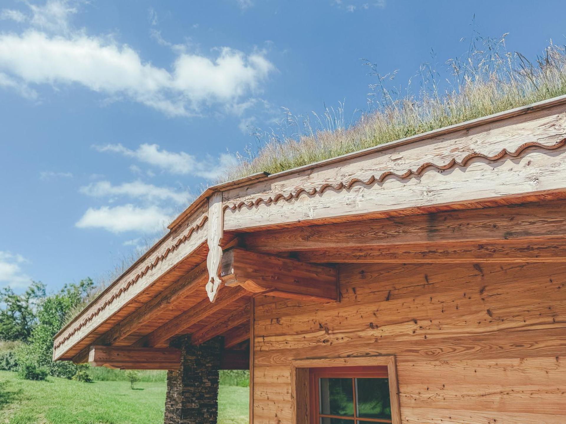 Chalets Resort Cínovec Εξωτερικό φωτογραφία